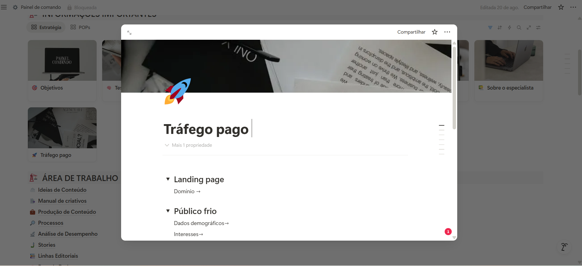 ✅ Estratégia de tráfego pago